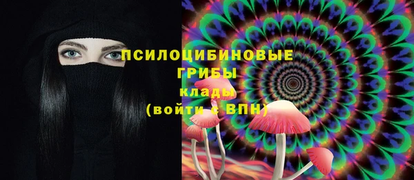 a pvp Алексин
