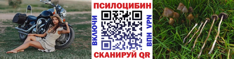 Псилоцибиновые грибы MAGIC MUSHROOMS  Тосно 