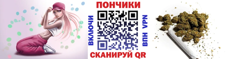 магазин    Тосно  hydra вход  Каннабис планчик 